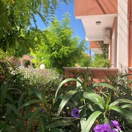 Panagiotis 2 3* لاغاناس